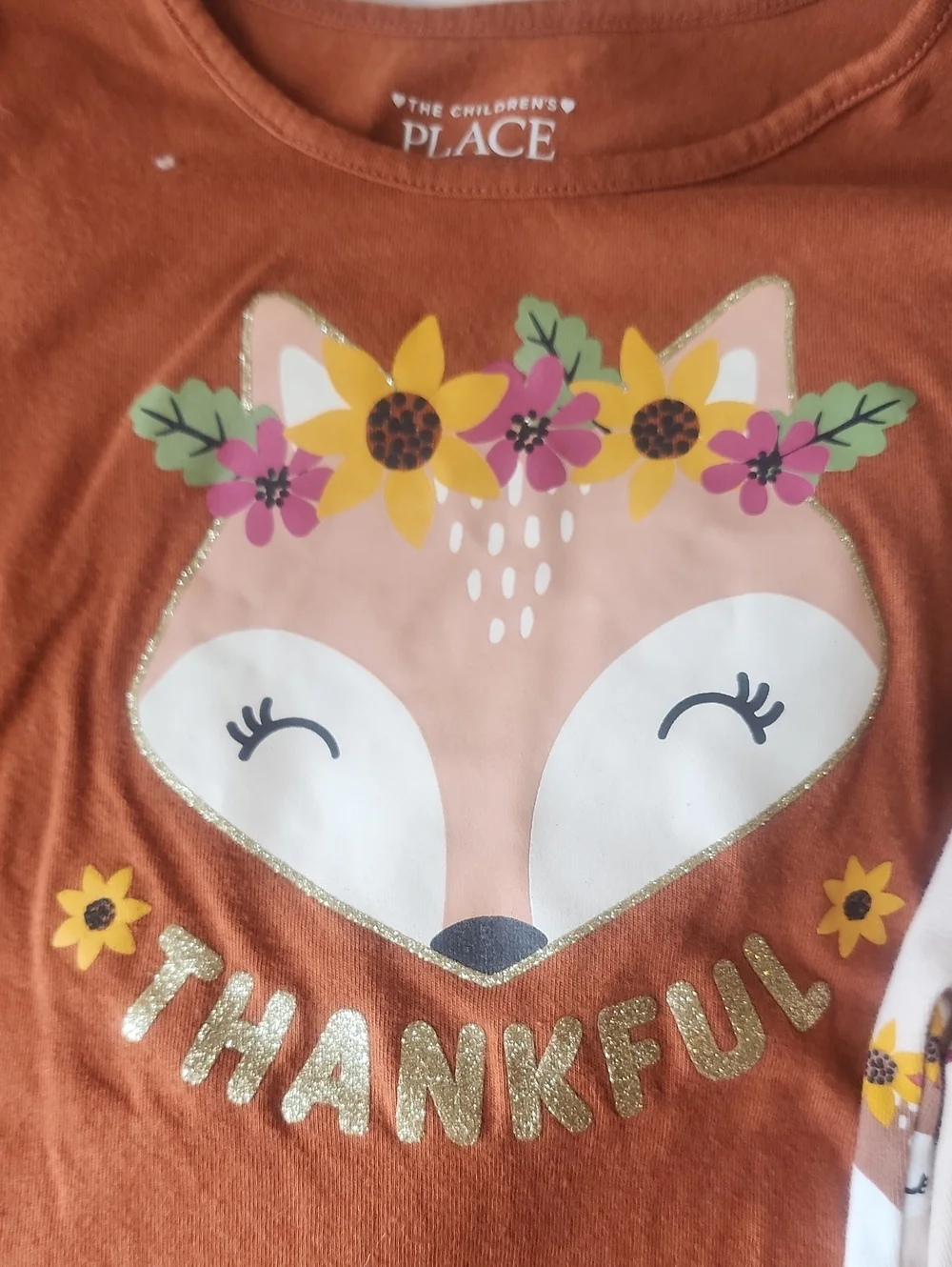 Sz 4T The Children's Place Thankful Rust Top & Woodland Creature Leggings